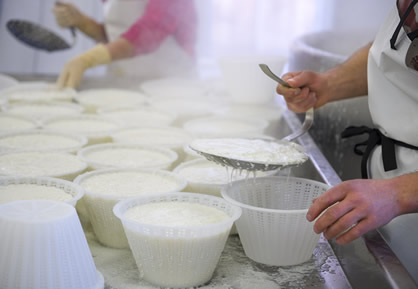 Pezzata Rossa Italiana