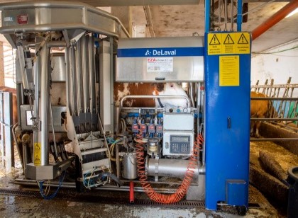 Az. Agr. Martino dal Bessè - Allevamento